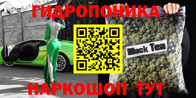 гидра Рыбинск
