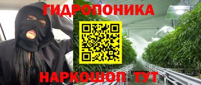 гидра Рыбинск