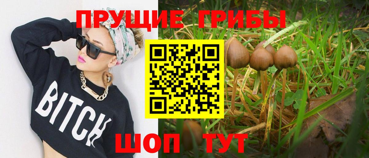 Галлюциногенные грибы Cubensis Сертолово